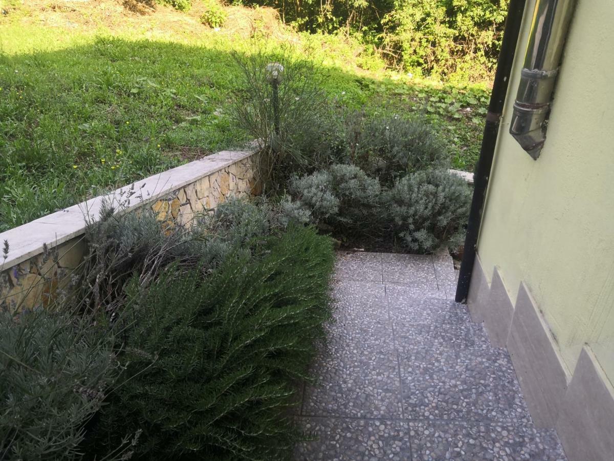 Il Roseto Bed & Breakfast Frosinone Eksteriør bilde